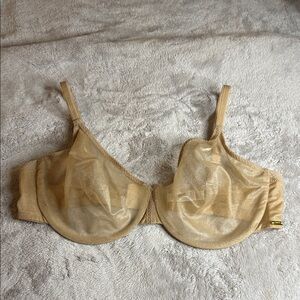 Luxurious Sheer Gold Bra